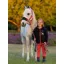Le Mieux Mini Vogue Headcollar and Leadrope Cranberry