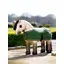 Le Mieux Toy Pony Rug Hunter Green
