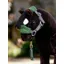 Le Mieux Toy Pony Vogue Headcollar and Leadrope Hunter Green