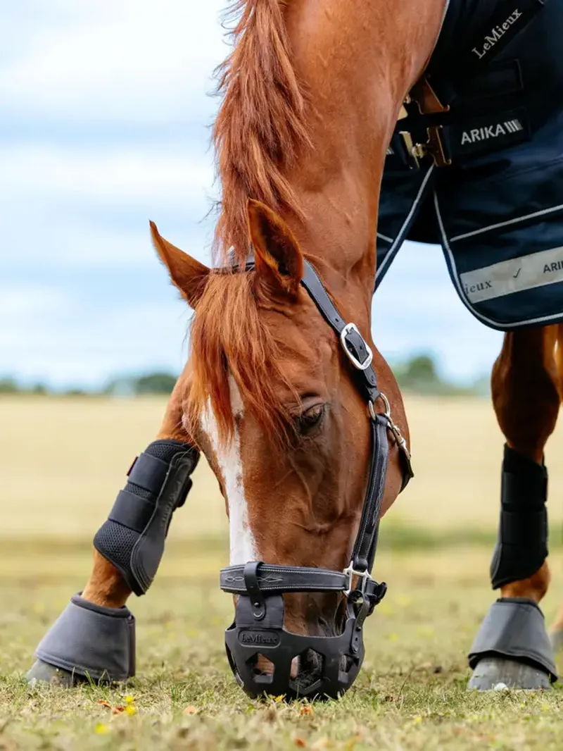 LeMieux Noma Grazing Muzzle Black-1