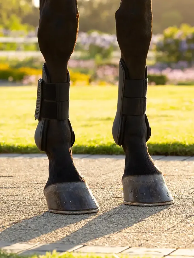 LeMieux Arika Tendon Boot-1