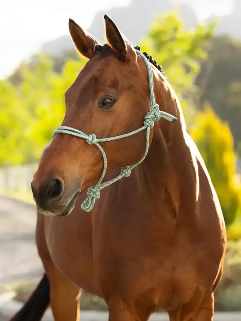 LeMieux Rope Halter Macaron