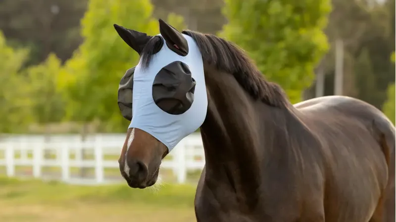 LeMieux Bug Relief Full Fly Mask Powder Blue-1