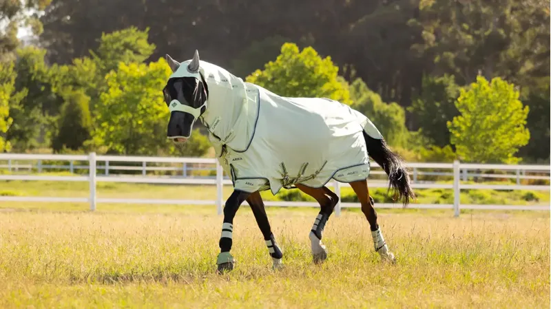 LeMieux Arika Armour-Tek Fly Rug Macaron-1