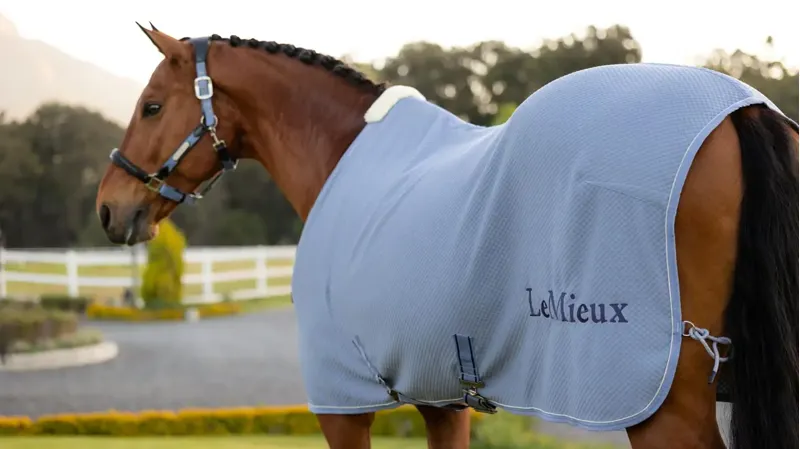 LeMieux Kudos Bamboo Cooler Powder Blue-2