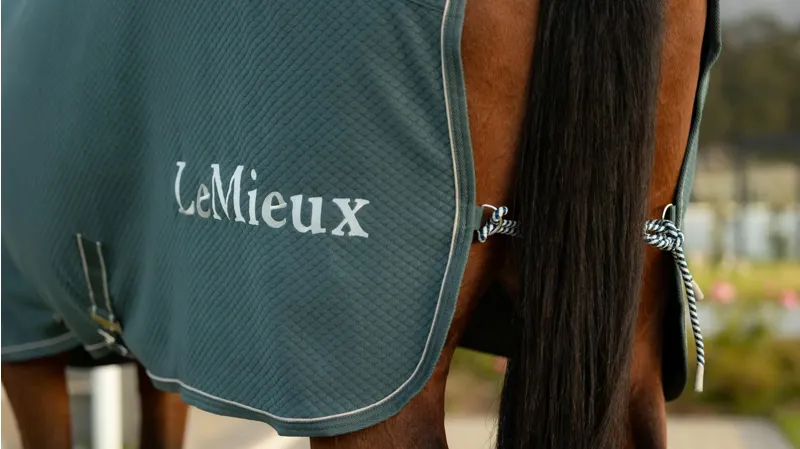 LeMieux Kudos Bamboo Cooler Jungle-2