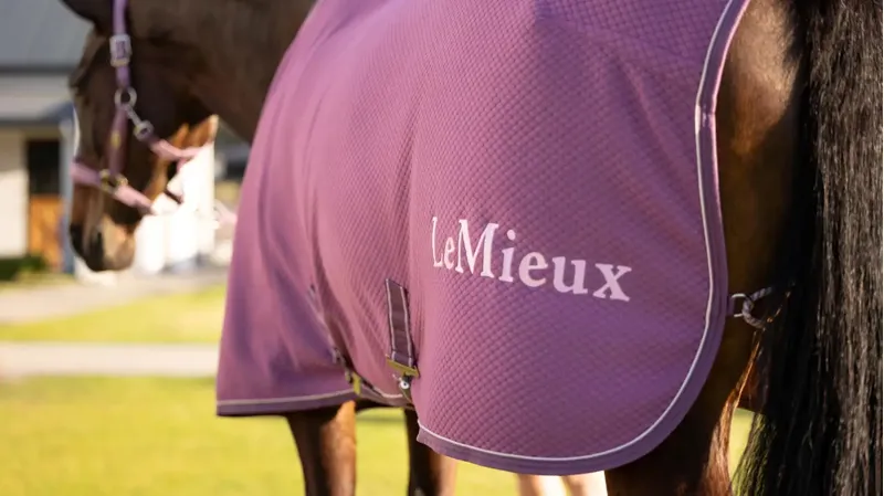 LeMieux Kudos Bamboo Cooler Mallow-2