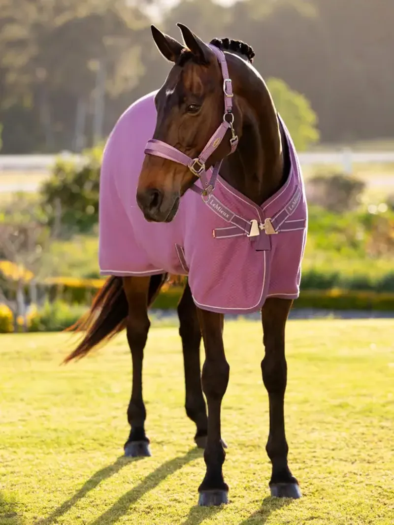 LeMieux Kudos Bamboo Cooler Mallow-1