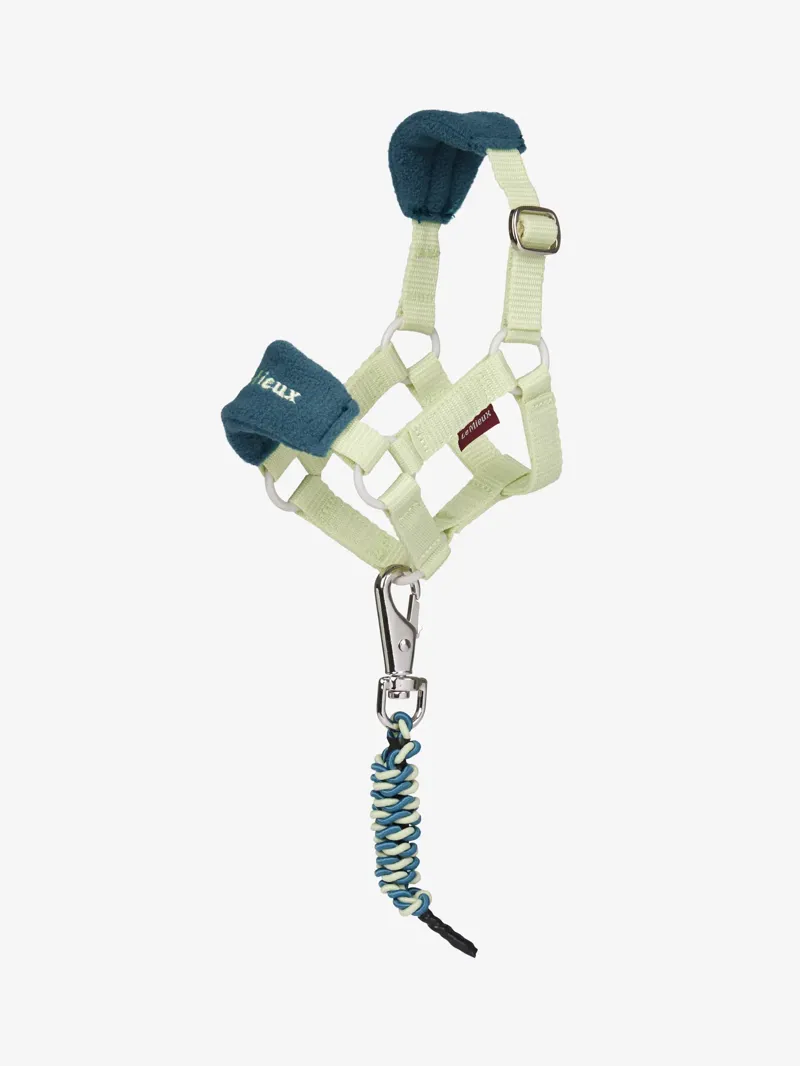 LeMieux Toy Pony Vogue Headcollar and Leadrope Macaron-1