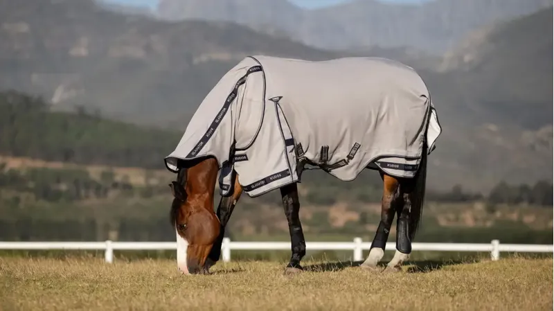 LeMieux Kudos Gladiator Fly Rug Grey-2