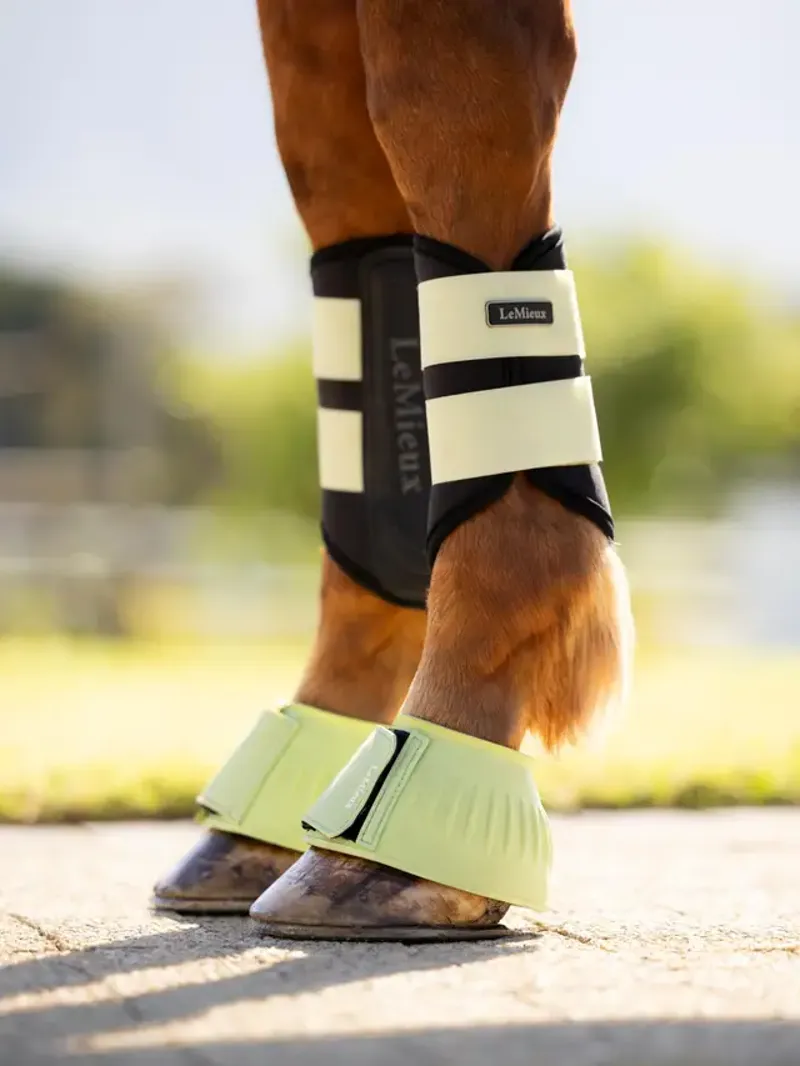 LeMieux Rubber Bell Boots Macaron-1