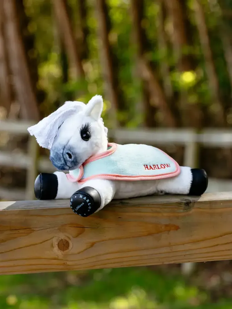 Harlow Tiny Rugs 2 pack Mint/Coral Crush