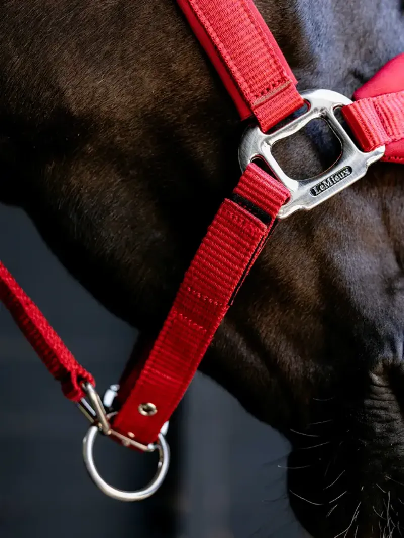 LeMieux Breakaway Vogue Headcollar Chilli-2