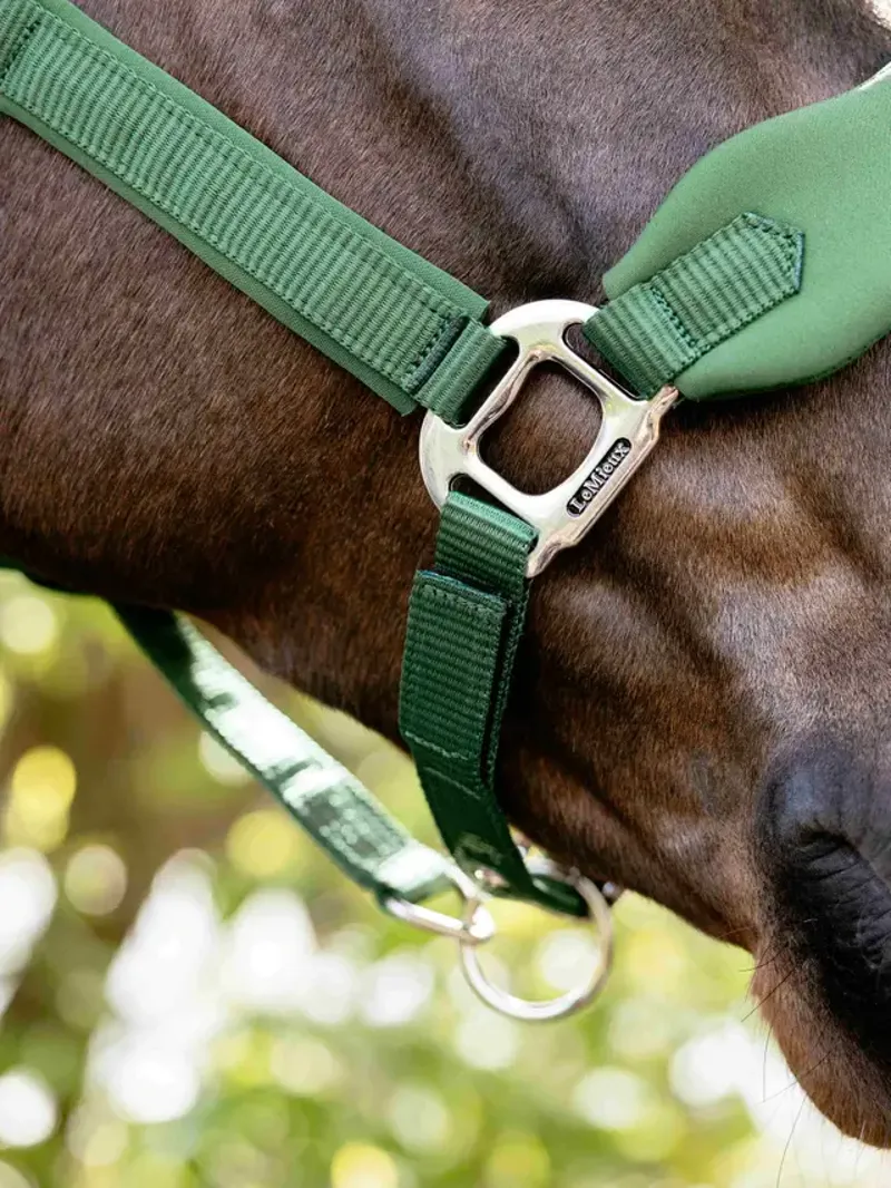 LeMieux Breakaway Vogue Headcollar Hunter Green-2