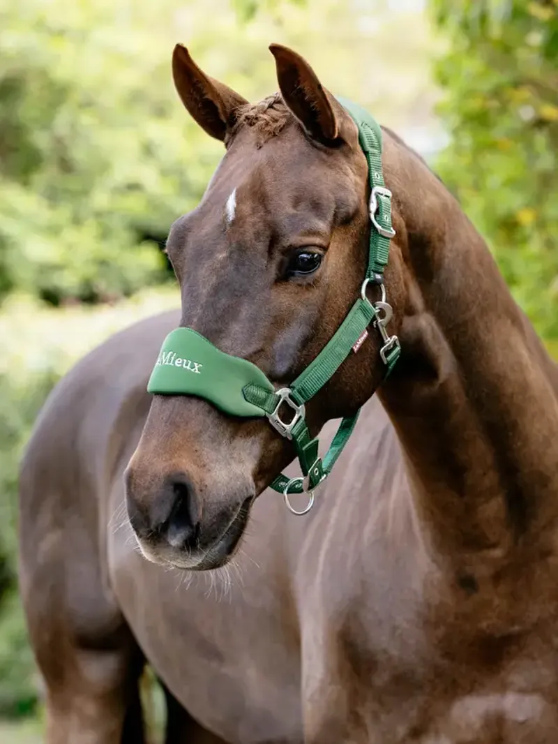 LeMieux Breakaway Vogue Headcollar Hunter Green