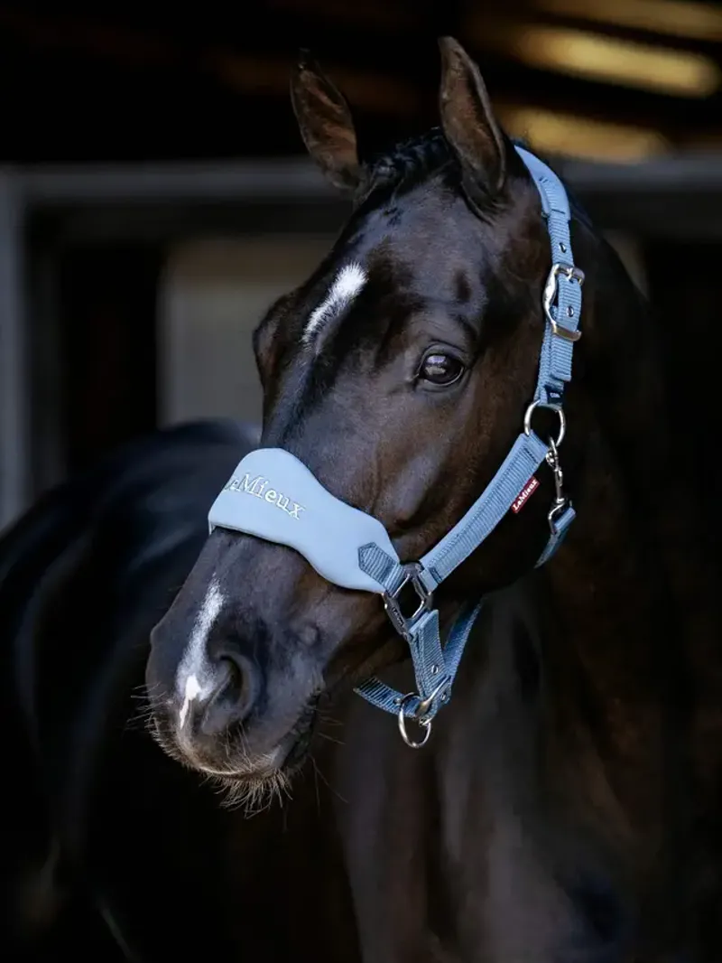 LeMieux Breakaway Vogue Headcollar Ice Blue
