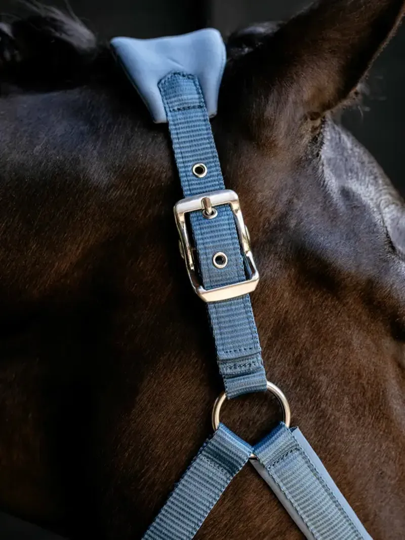 LeMieux Breakaway Vogue Headcollar Ice Blue-2