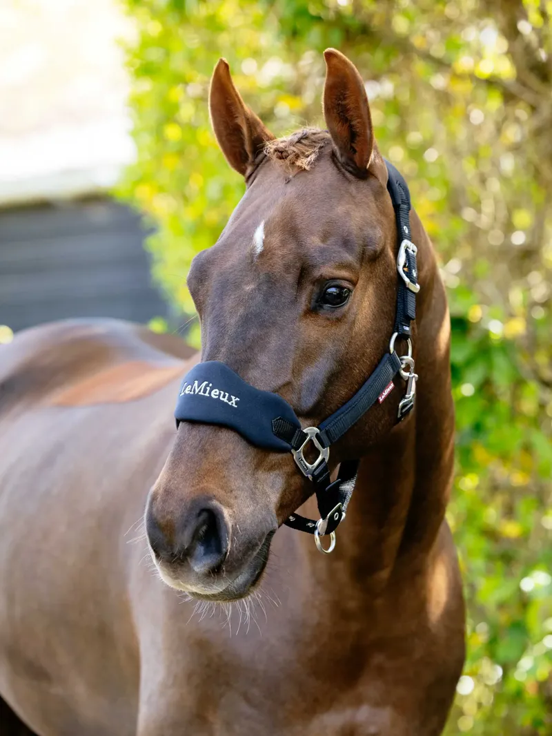 LeMieux Breakaway Vogue Headcollar Black