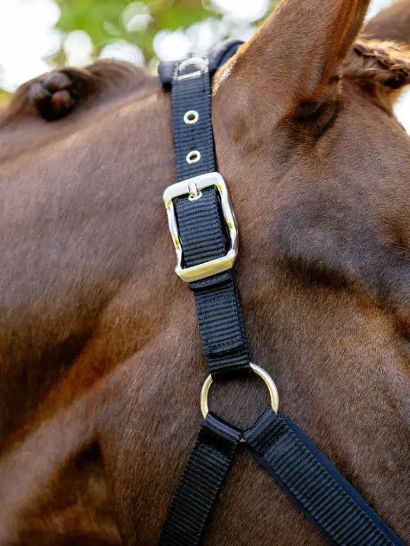 LeMieux Breakaway Vogue Headcollar Black-2