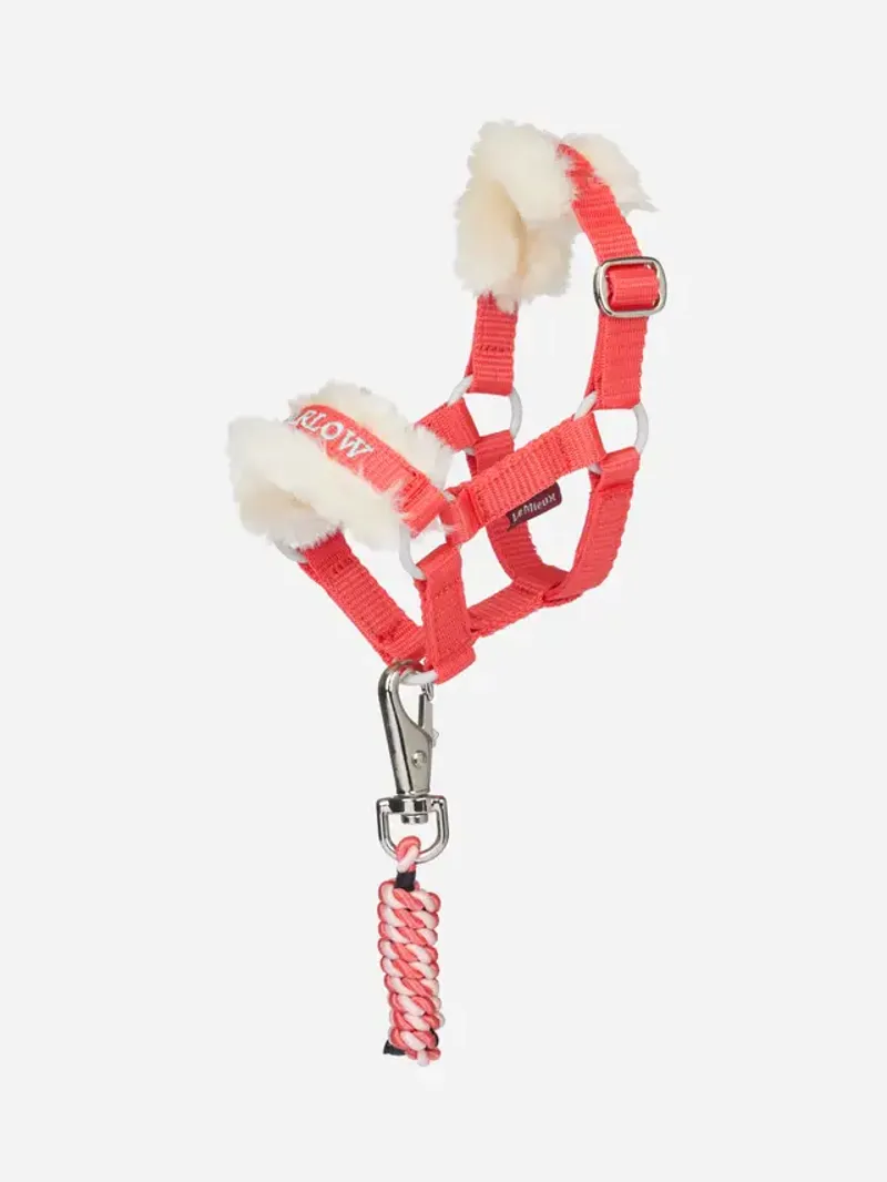 LeMieux Harlow Toy Pony Headcollar and Leadrope Coral Crush-1