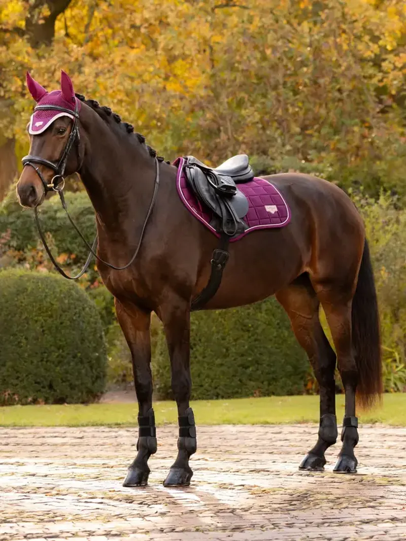 LeMieux Loire Classic Close Contact Square Blackberry-1