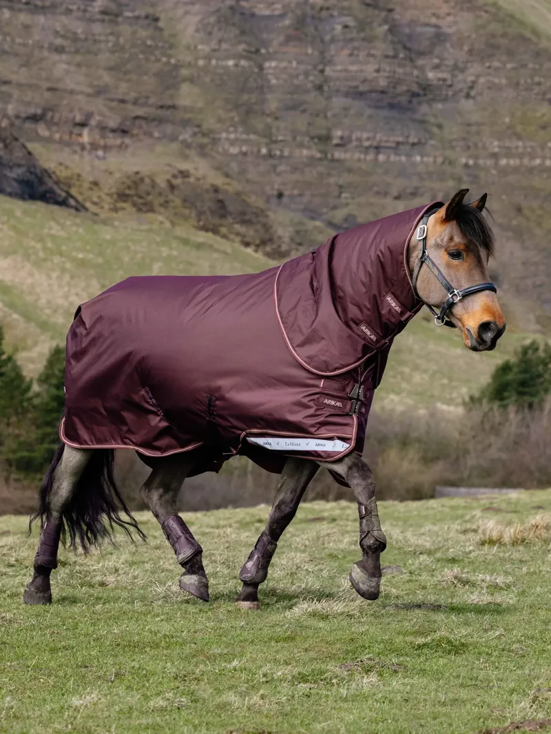 Arika Ripstop 100g Turnout Rug Bramble