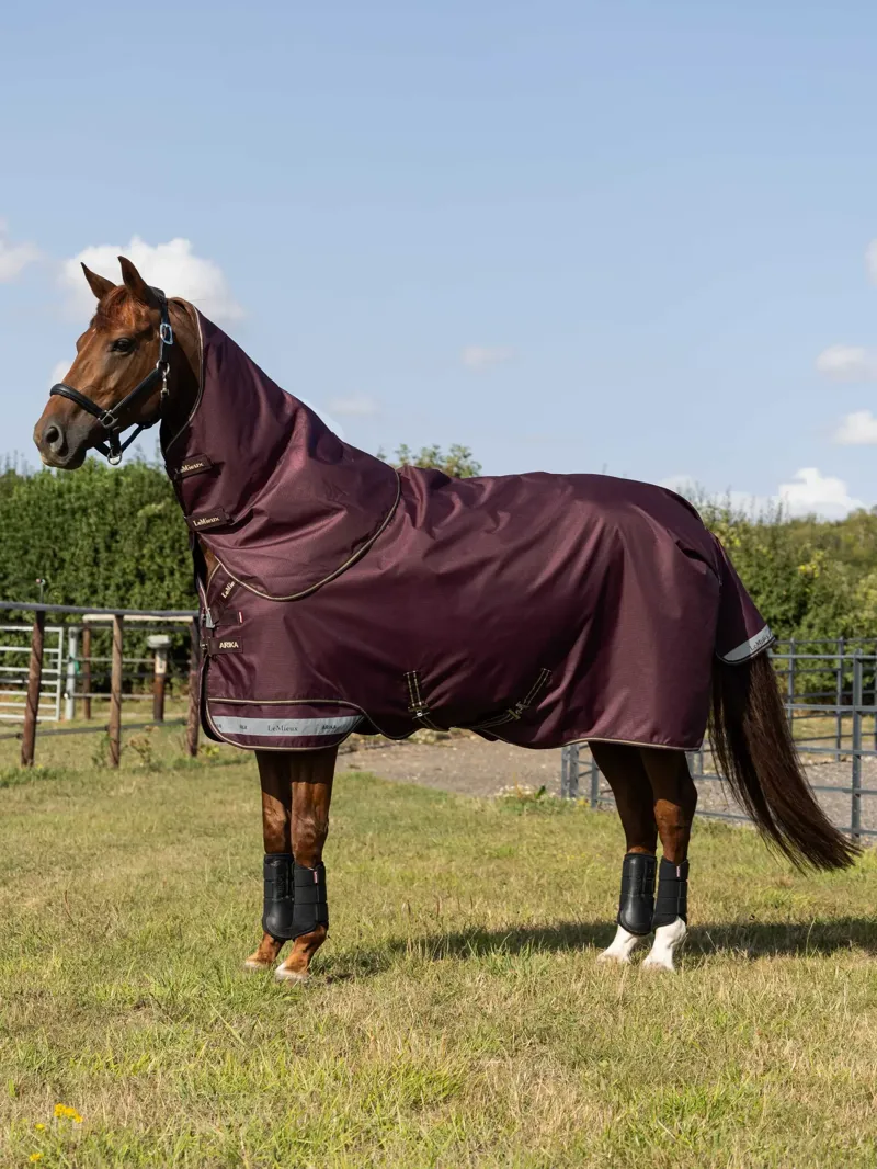 Arika Ripstop 200g Turnout Rug Bramble-1