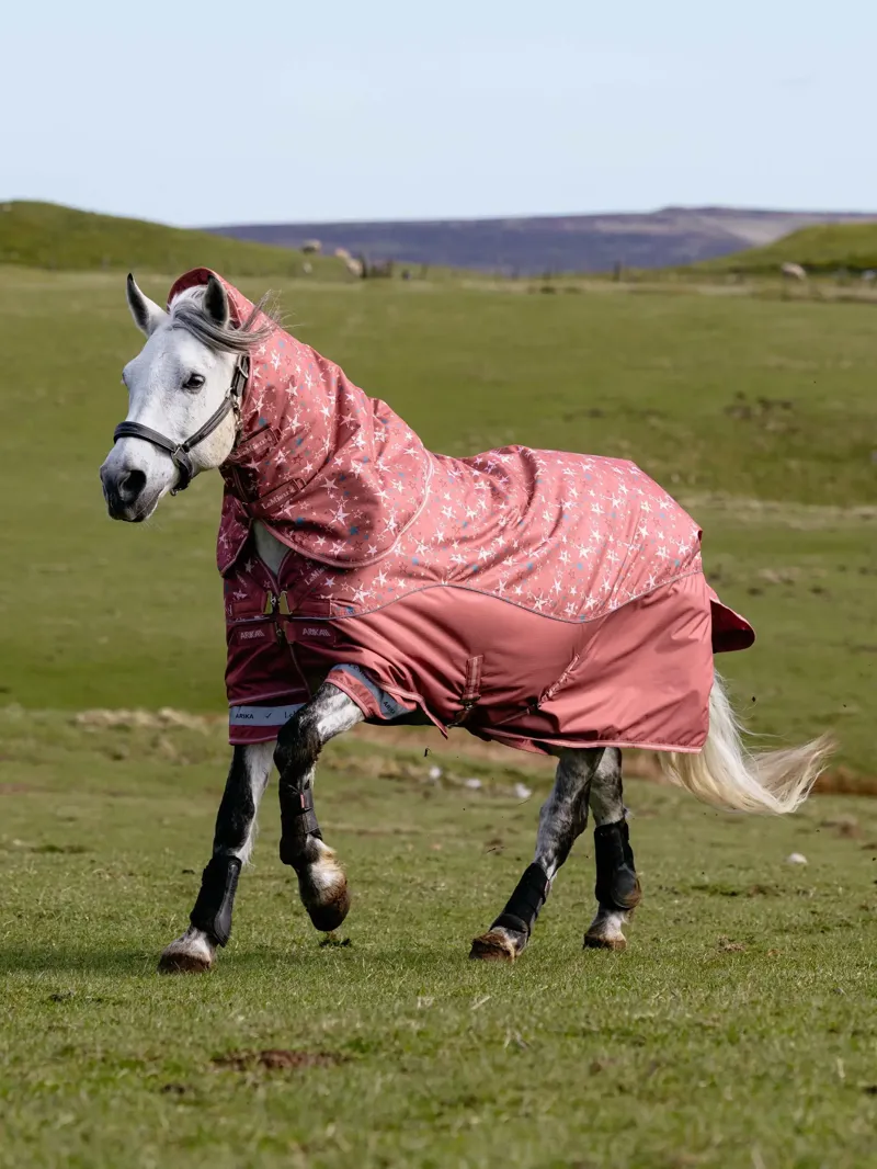 Arika Star Turnout Rug 200g Spiced Earth