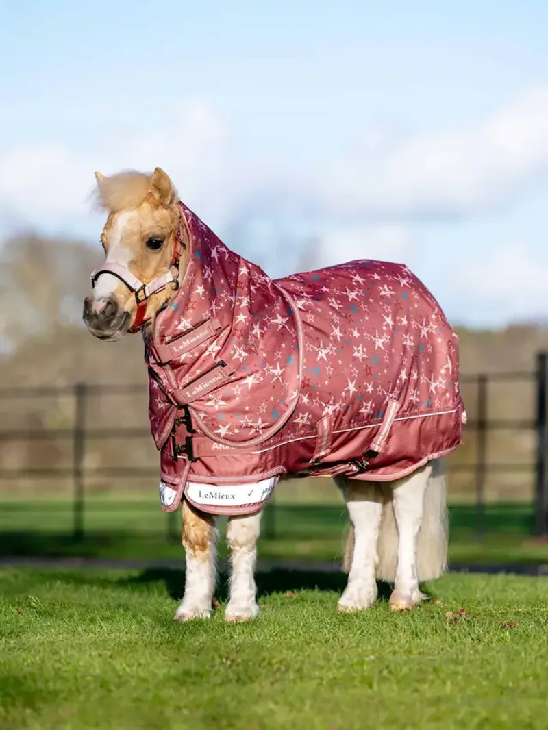 Arika Star Turnout Rug 200g Spiced Earth-1
