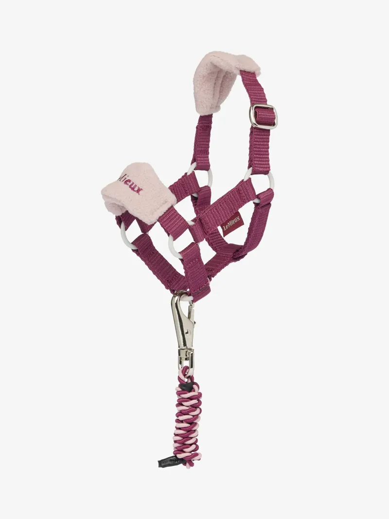 Toy Pony Vogue Headcollar and Leadrope Blackberry