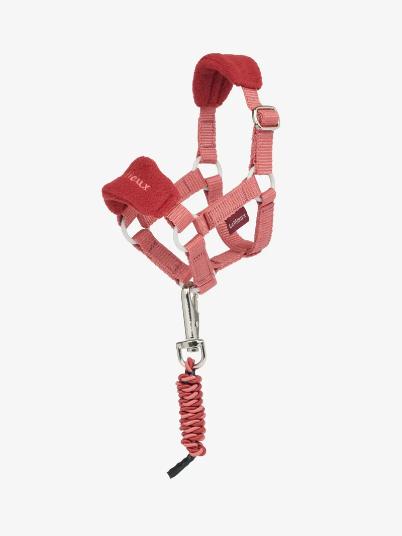 Toy Pony Vogue Headcollar and Leadrope Spiced Earth
