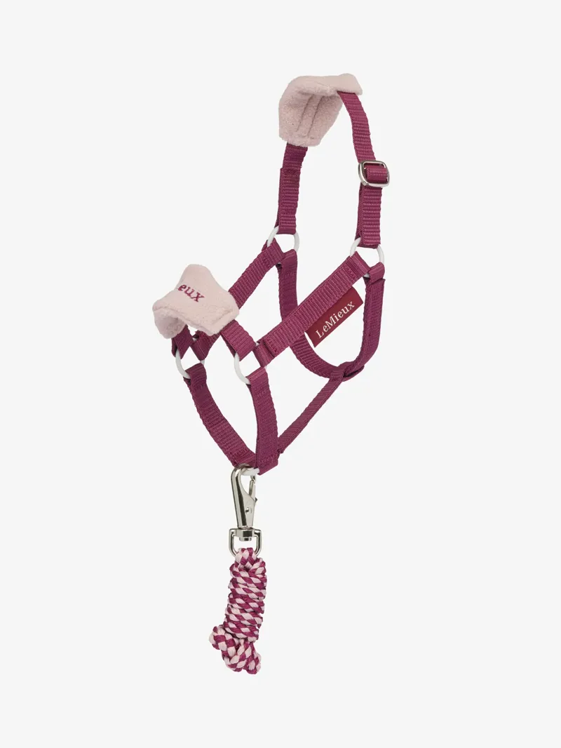 LeMieux Hobby Horse Vogue Headcollar and Leadrope Blackberry