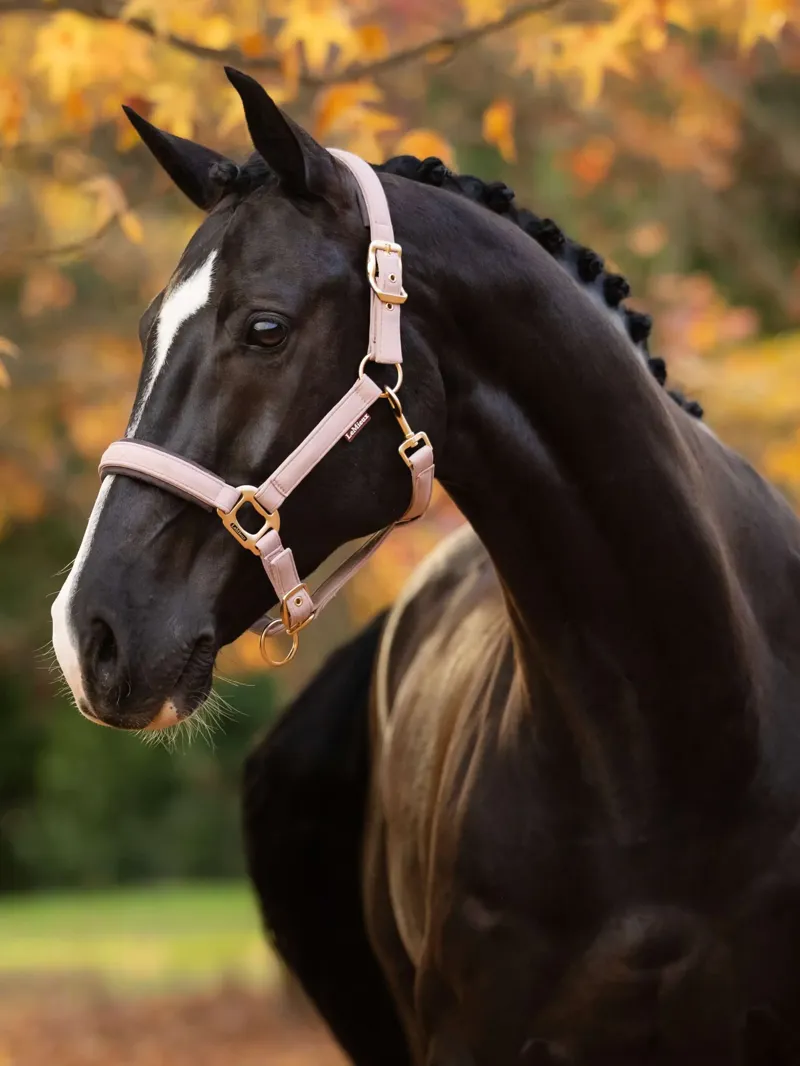 LeMieux Essence Headcollar Wild Rose
