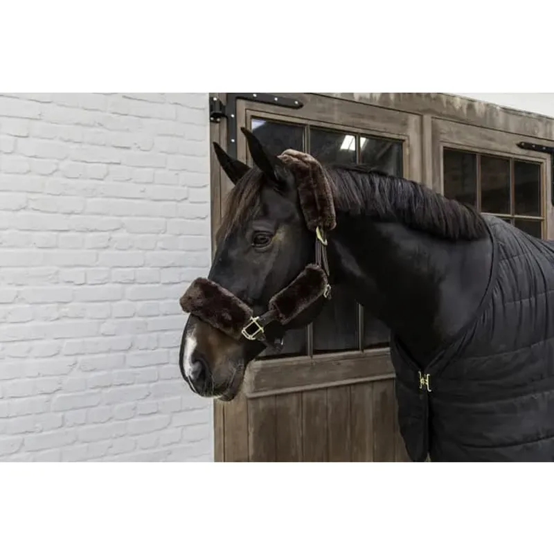 Kentucky Sheepskin Halter Set 4 Pieces Brown