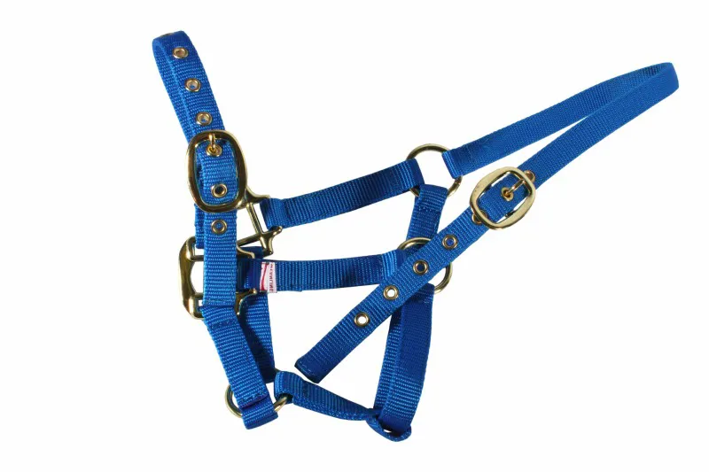 Equisential Nylon Headcollar Suckling Royal