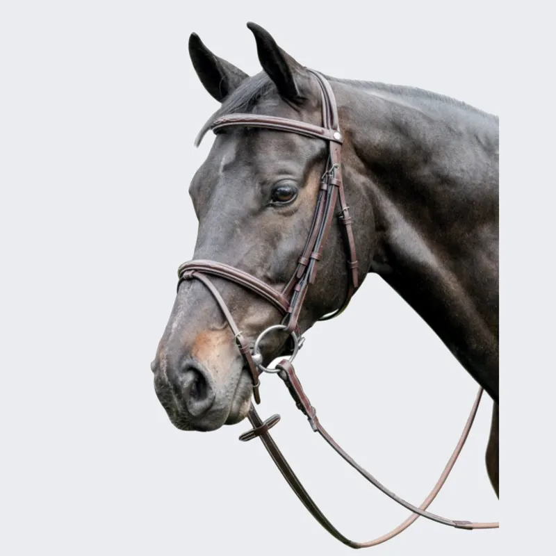Prestige Leather Raised Bridle Black
