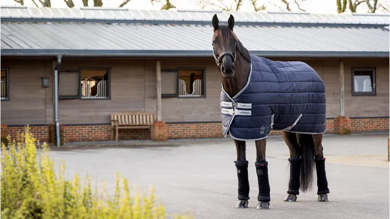 LeMieux Arika StableTek 200g Navy-2