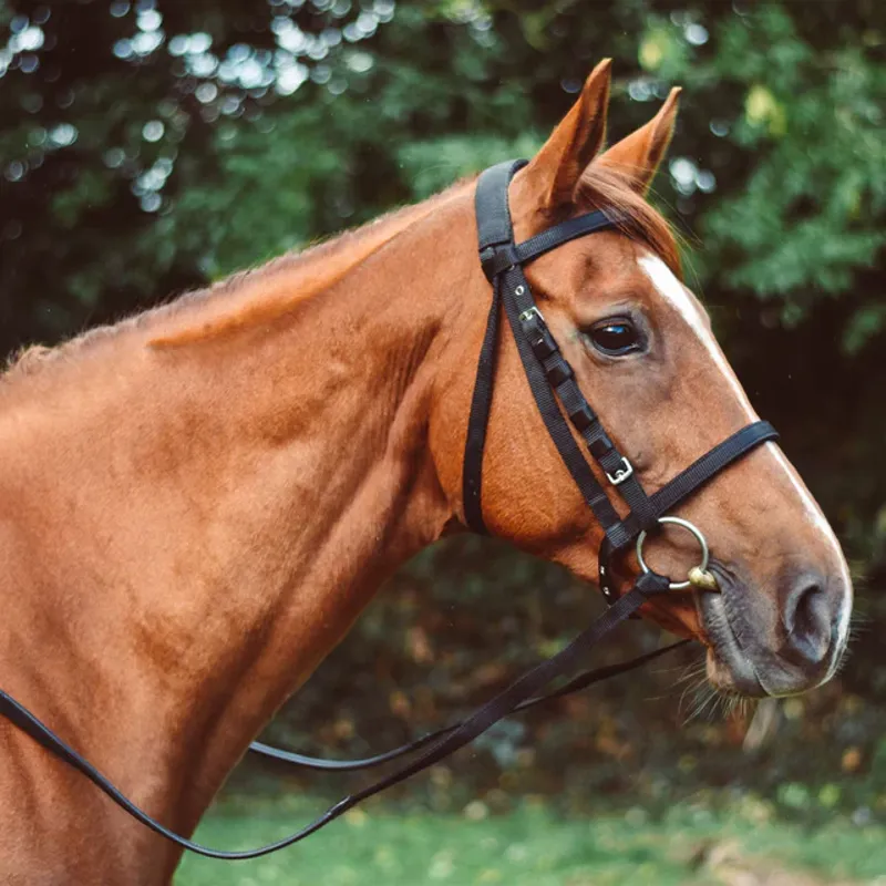 Equisential Nylon Rubber Grip Reins Black