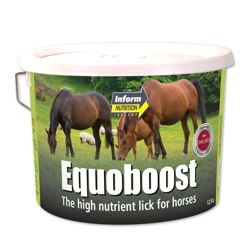 Mervue Equoboost Horse Lick 12.5kg