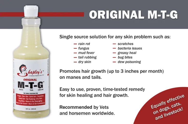 Shapley's MTG Original 946ml-1