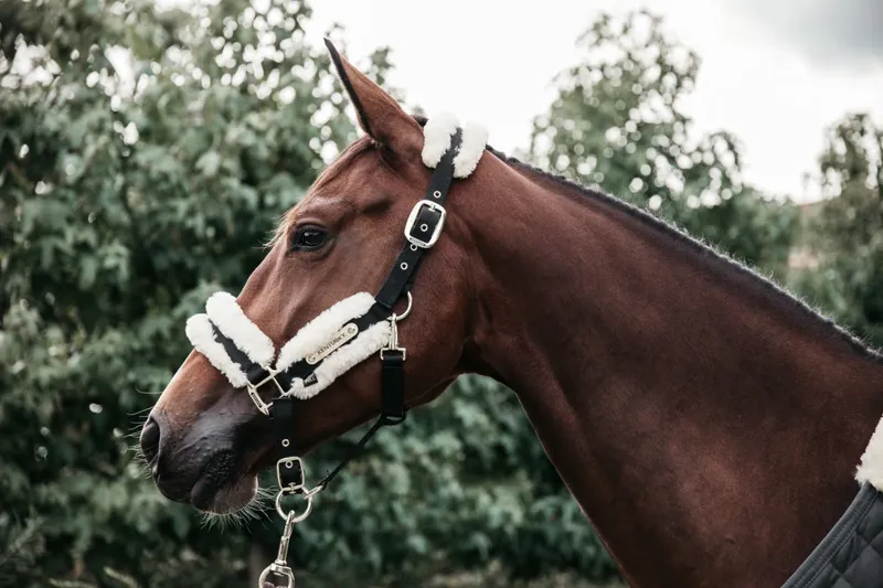Kentucky Nylon Sheepskin Halter Natural