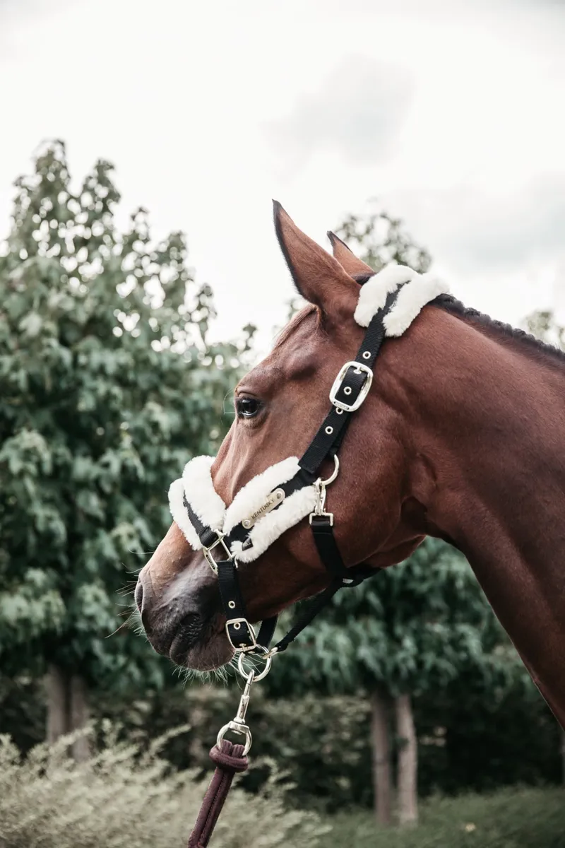 Kentucky Nylon Sheepskin Halter Natural-2