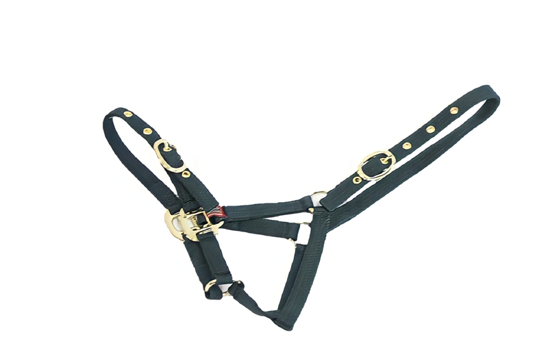 Celtic Equine Nylon Headcollar Green