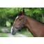 Celtic Equine Nylon Headcollar Navy