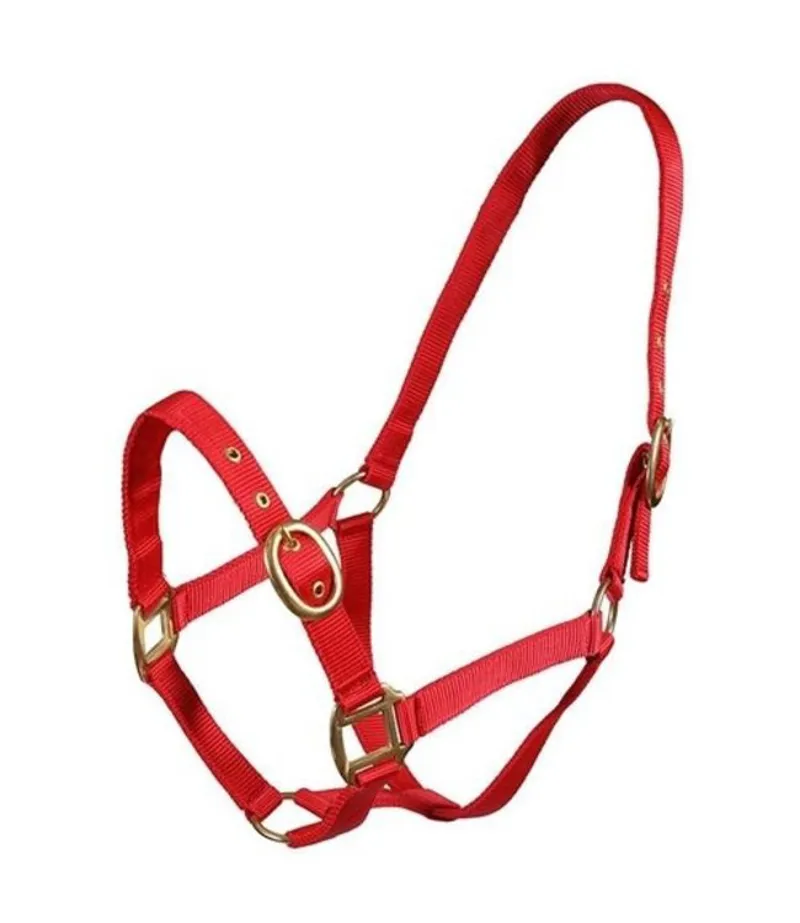 Celtic Equine Nylon Headcollar Red