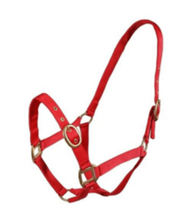 Equisential Nylon Headcollar Foal Red