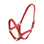 Equisential Nylon Headcollar Foal Red