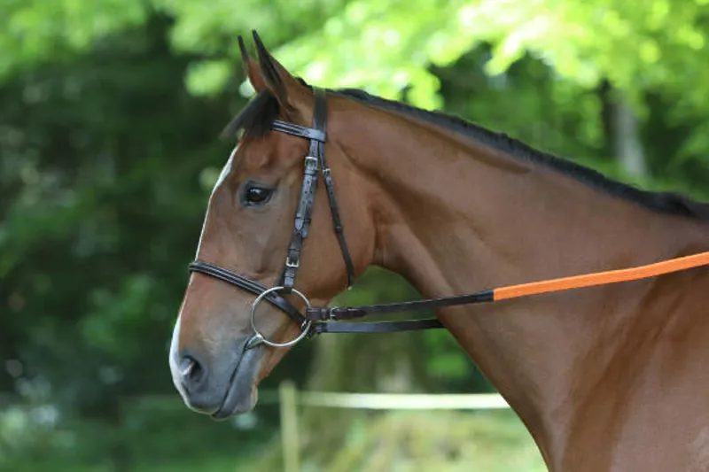 Breeze Up Leather Racing Bridle Black