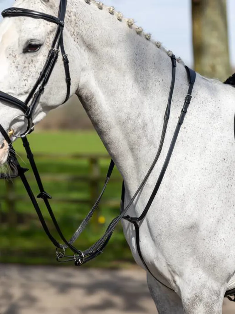 LeMieux Running Martingale Black-1