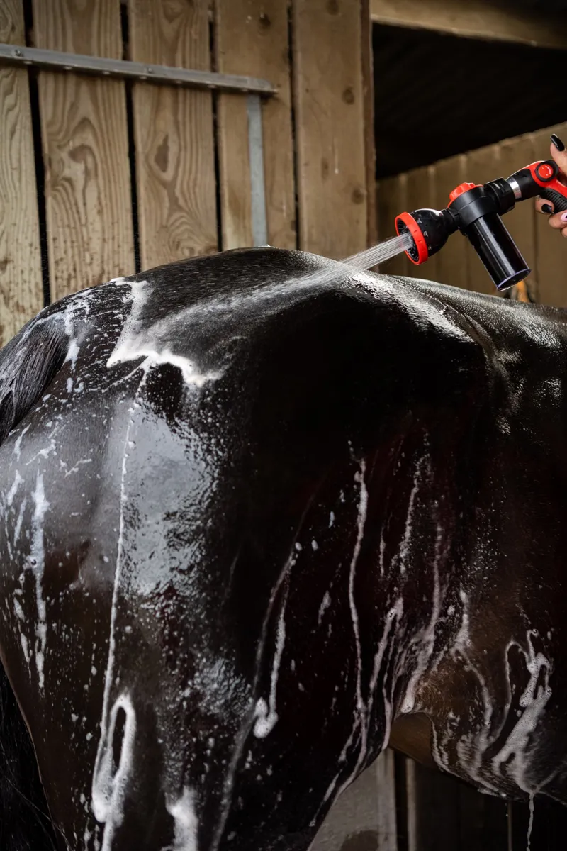 The Ultimate Wash Gun-1